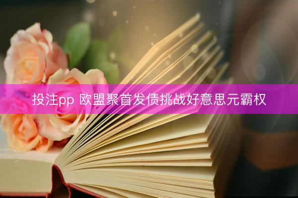 投注pp 欧盟聚首发债挑战好意思元霸权