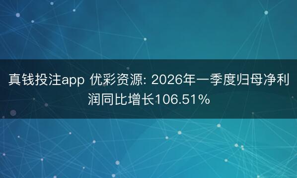 真钱投注app 优彩资源: 2026年一季度归母净利润同比增长106.51%